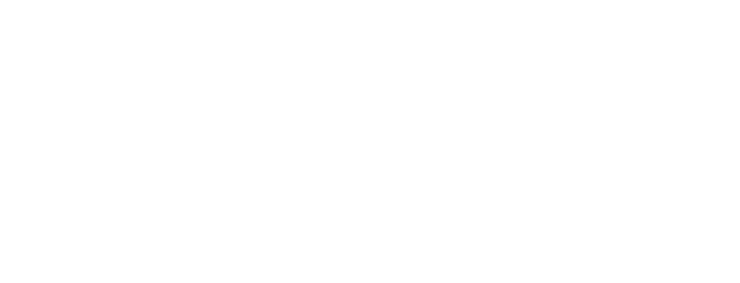 logo dss bnetwork